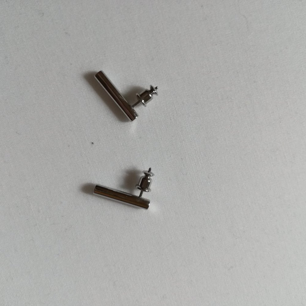 Skagen stainless steel stud earrings